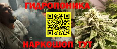 молекула духа Заводоуковск