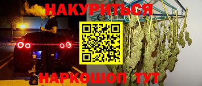 шишки Заволжье